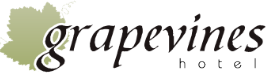ΞΕΝΟΔΟΧΕΙΟ GRAPEVINES HOTEL ΑΛΙΚΑΝΑΣ ΖΑΚΥΝΘΟΣ MOUZAKIS FAMILY ΙΚΕ