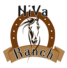 ΙΠΠΑΣΙΑ ΠΑΙΔΩΝ ΕΝΗΛΙΚΩΝ ΕΚΔΡΟΜΕΣ ΜΕ ΑΛΟΓΑ NIVA RANCH HORSE RIDING RHODES ΚΡΕΜΑΣΤΗ ΡΟΔΟΣ ΚΑΣΤΑΜΟΥΛΑΣ