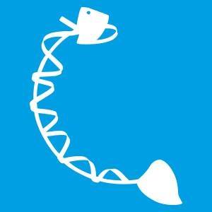 ΨΑΡΟΤΑΒΕΡΝΑ ΕΣΤΙΑΤΟΡΙΟ ΘΑΛΑΣΣΙΝΩΝ SEA FOOD RESTAURANT MARINA ΝΕΑ ΠΟΤΙΔΑΙΑ ΧΑΛΚΙΔΙΚΗ