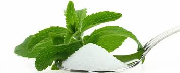 ΑΓΡΟΤΙΚΟΣ ΣΥΝΕΤΑΙΡΙΣΜΟΣ ΣΤΕΒΙΑΣ ΕΜΠΟΡΙΟ ΣΤΕΒΙΑ ΚΑΡΔΙΤΣΑ ΚΟΥΛΟΣΟΥΣΑΣ ΓΕΩΡΓΙΟΣ