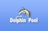 DOLPHIN POOL ΚΑΤΑΣΚΕΥΕΣ ΕΠΙΣΚΕΥΕΣ ΠΙΣΙΝΑΣ ΚΑΙ SPA ΗΡΑΚΛΕΙΟ ΚΡΗΤΗ ΕΠΤΑΜΗΝΙΤΑΚΗΣ ΙΣΙΔΩΡΟΣ